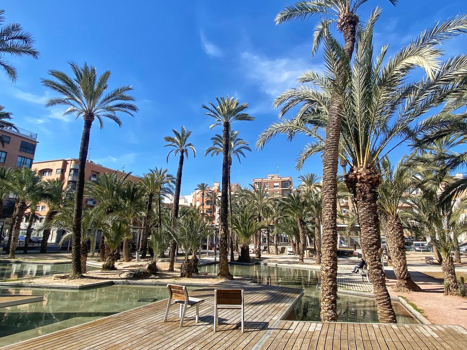 Ruta del Palmeral - Image 1