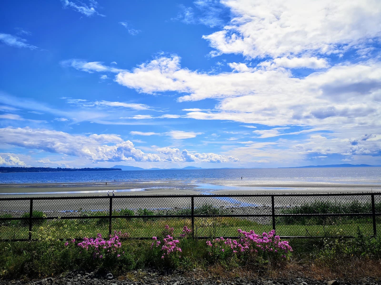 Bayview Park - Image 1