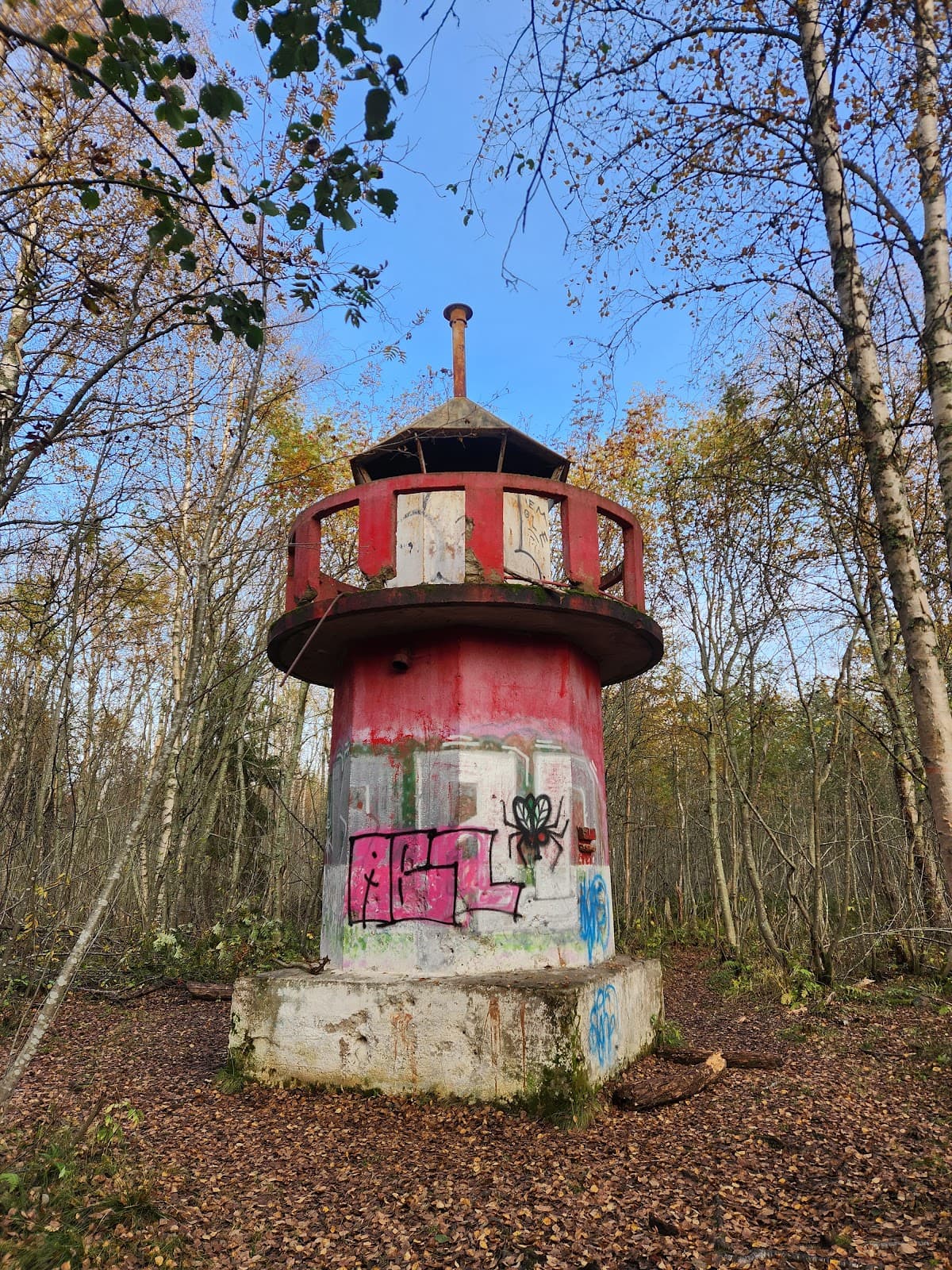 Letonniemi Nature Reserve - Image 1