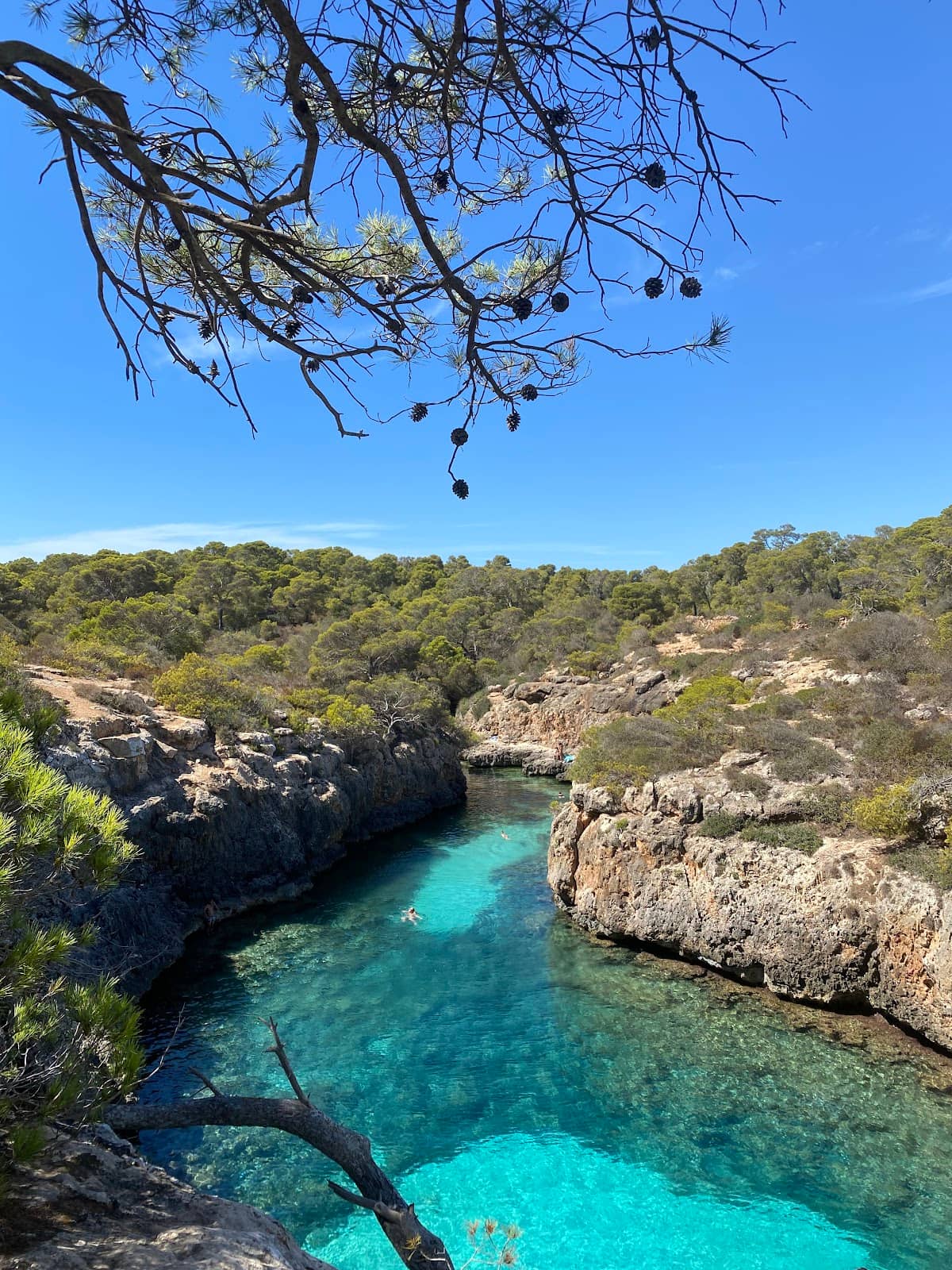 Snorkeling Paradise