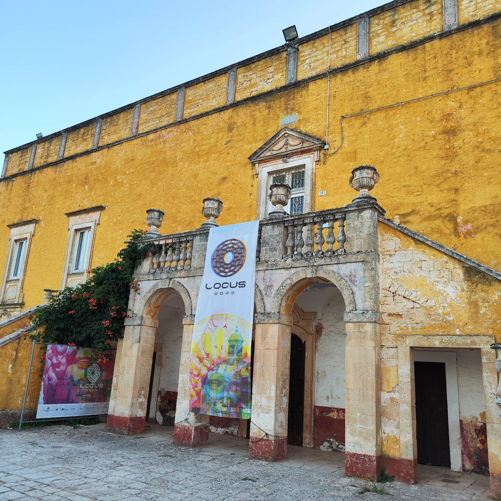 Bonsai Tree Collection