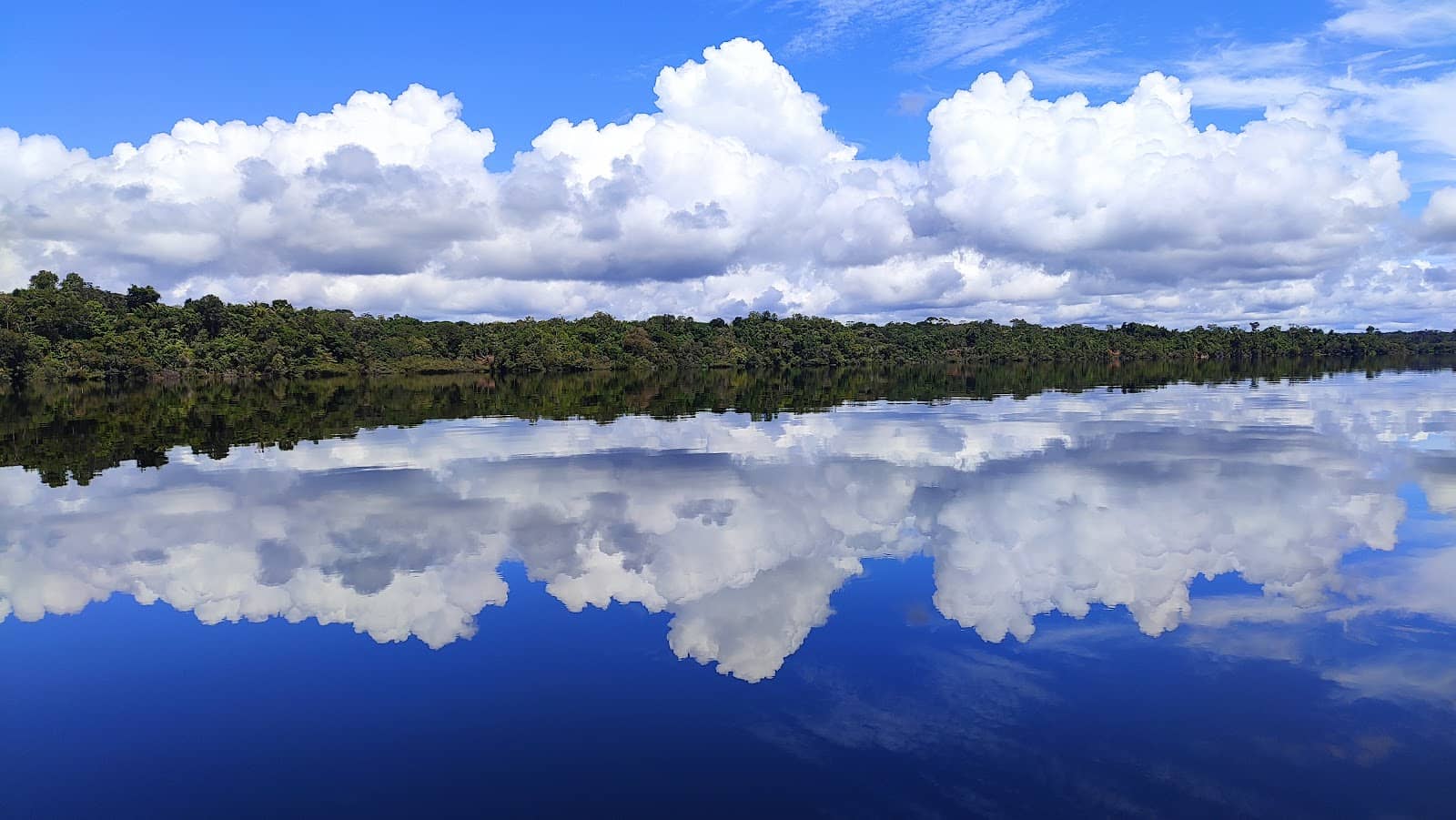 Jungle Trekking with Local Guides