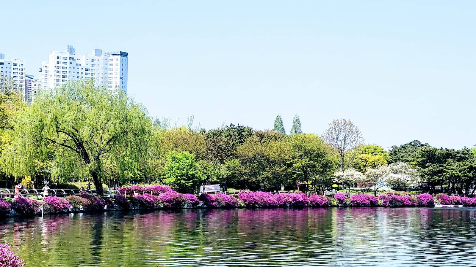 La Terrasse de Paris