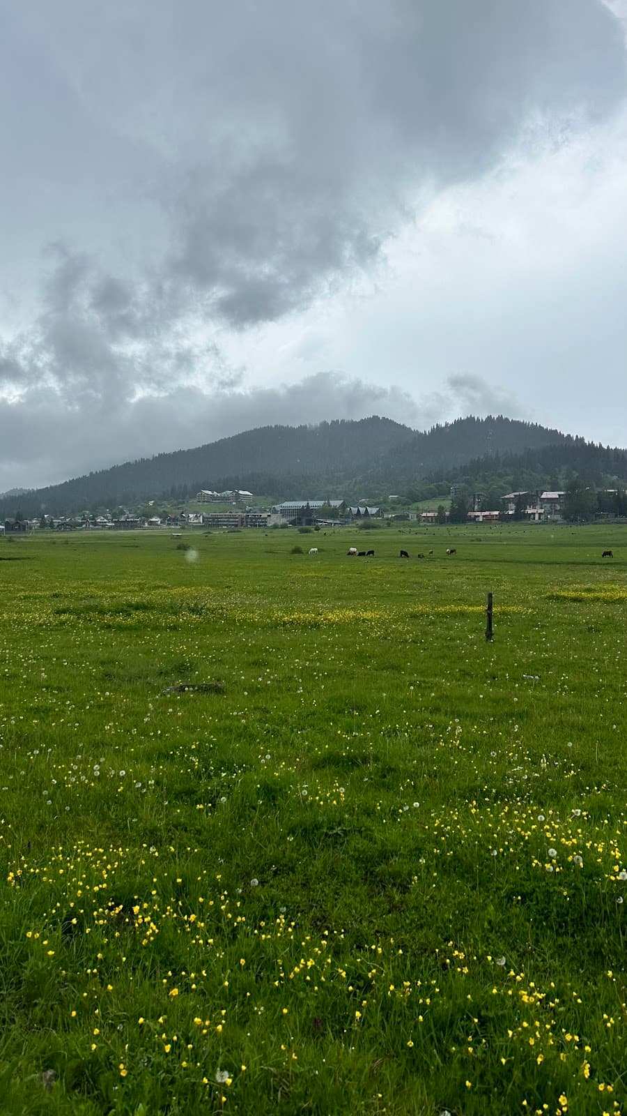 Central Park Bakuriani - Image 1