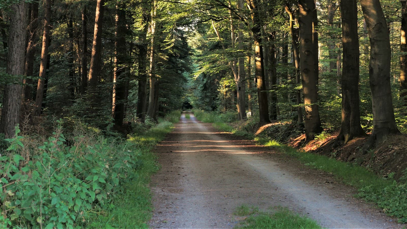 Lonnekerberg - Image 1