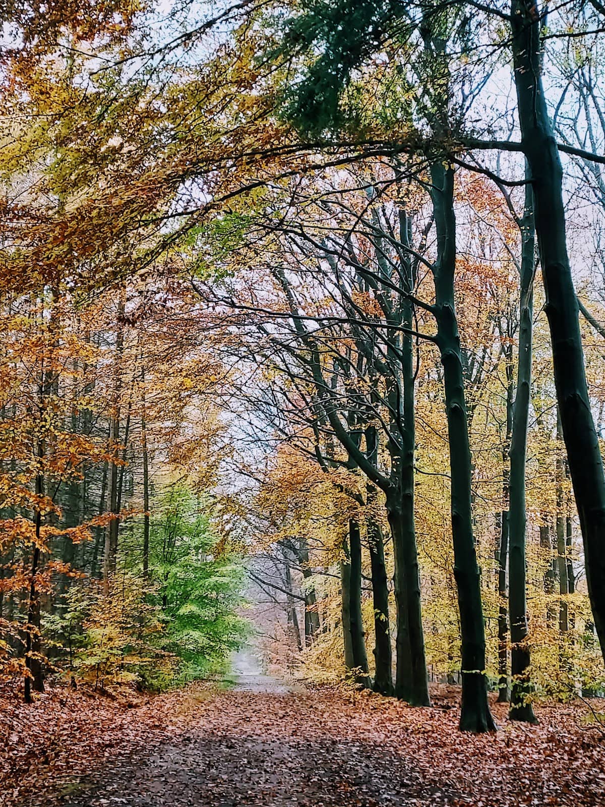 Vertical photo