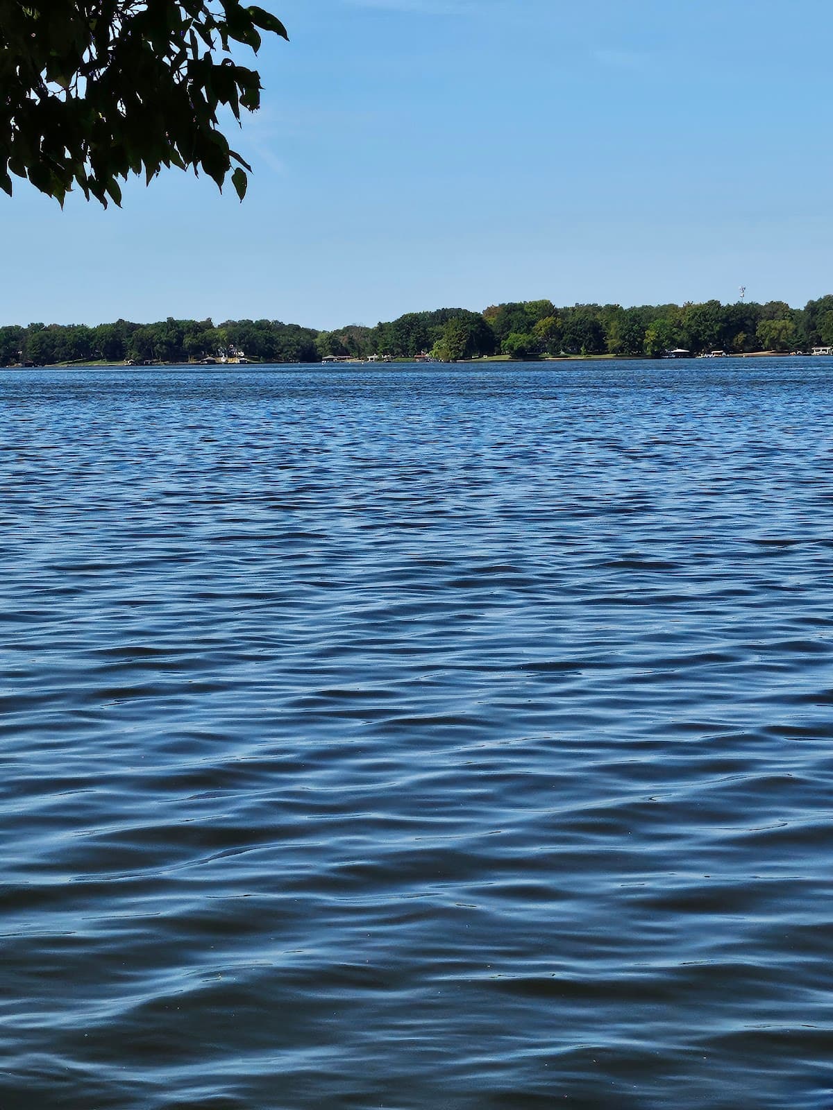 Lake Springfield - Image 1