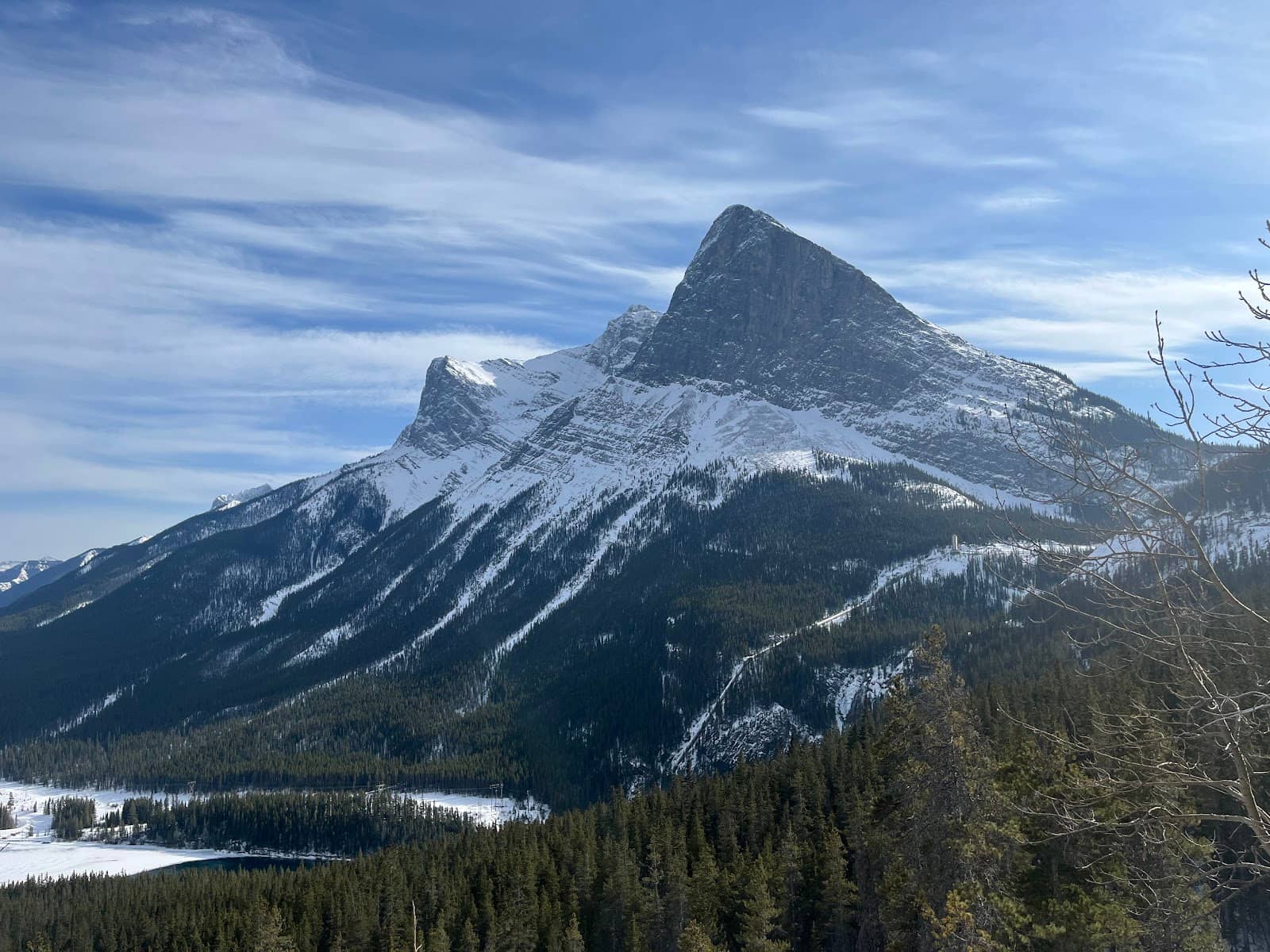 Policeman Creek Boardwalk