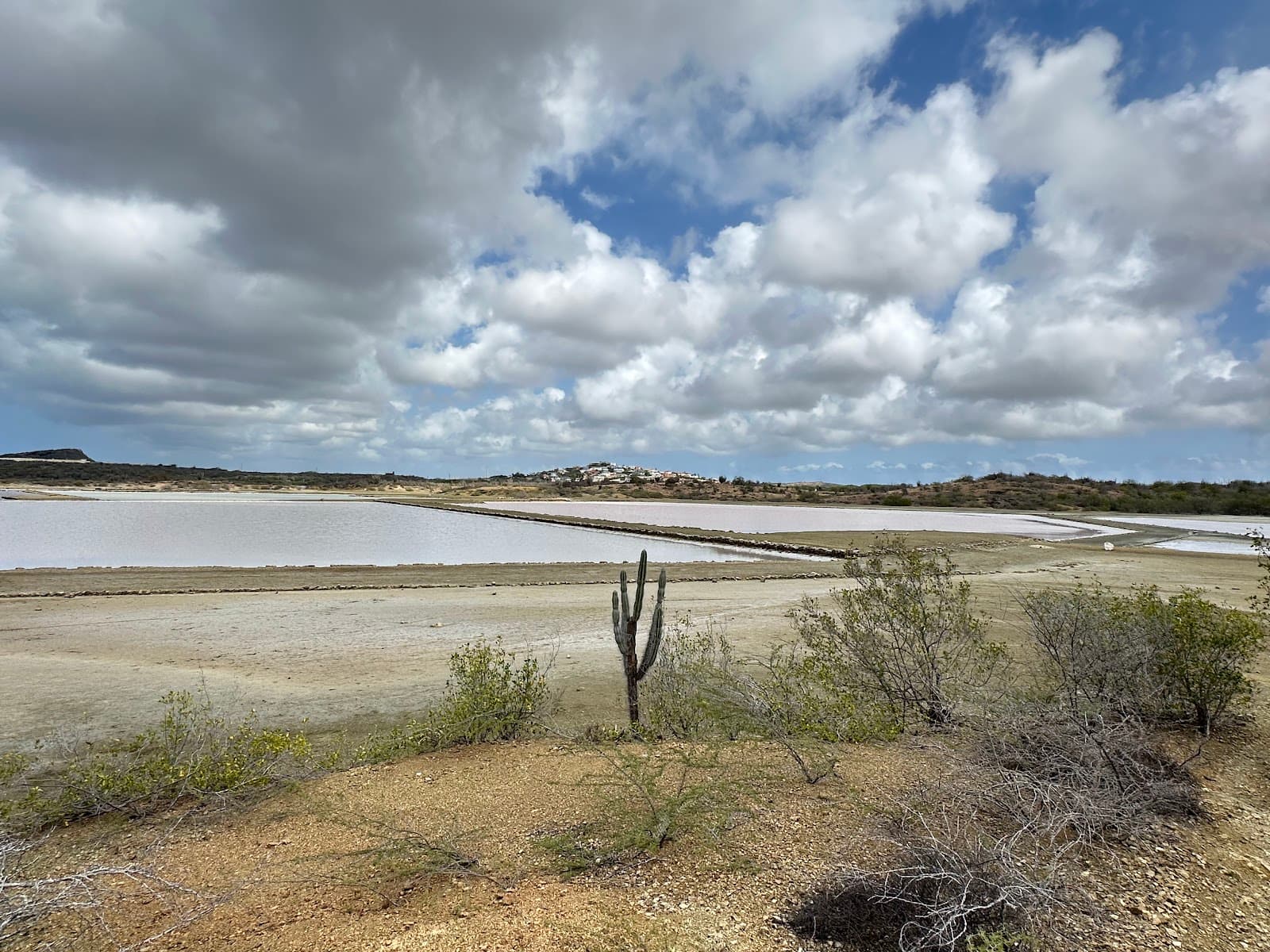 Jan Thiel Salt Pans Curaçao - Image 1