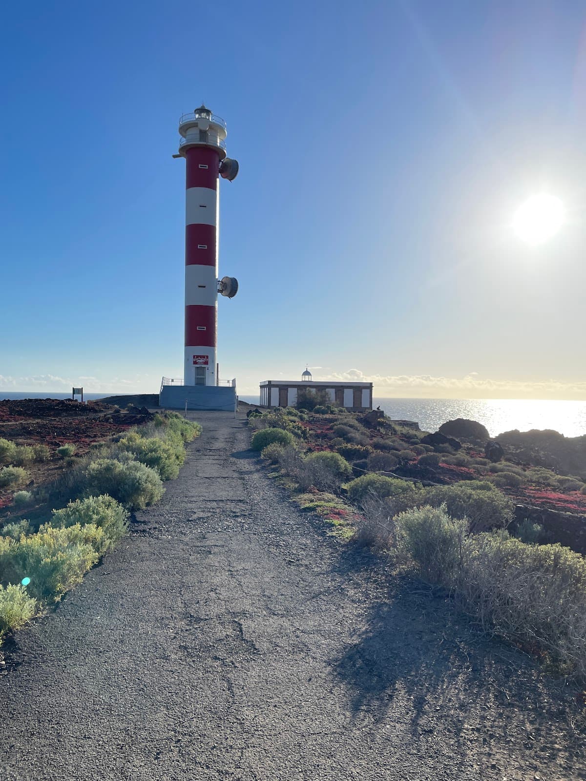 Teno-Rasca Marine Protected Area - Image 1