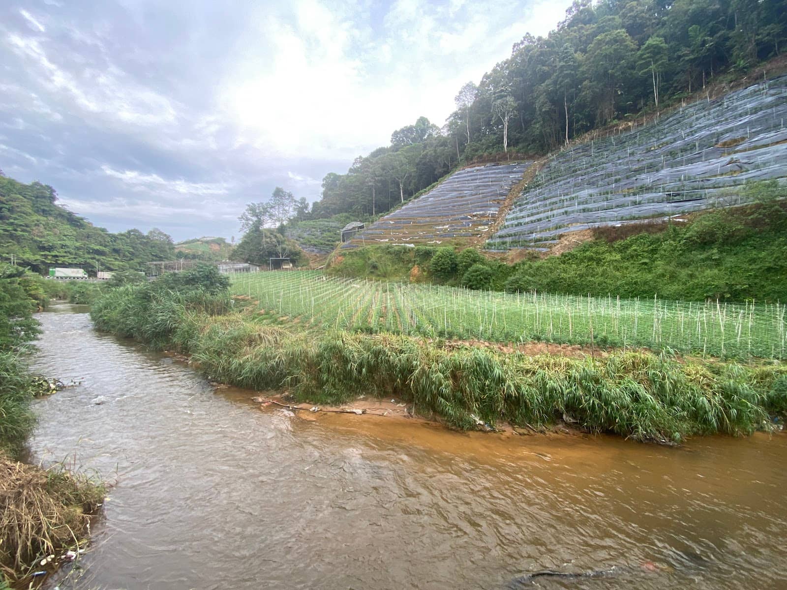 Local Culinary Delights