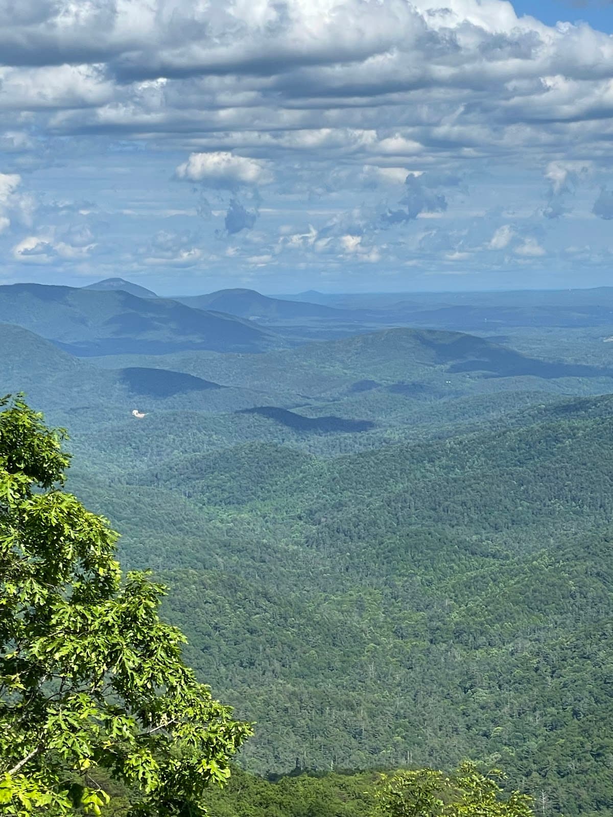 Woody Gap Overlook - Image 1