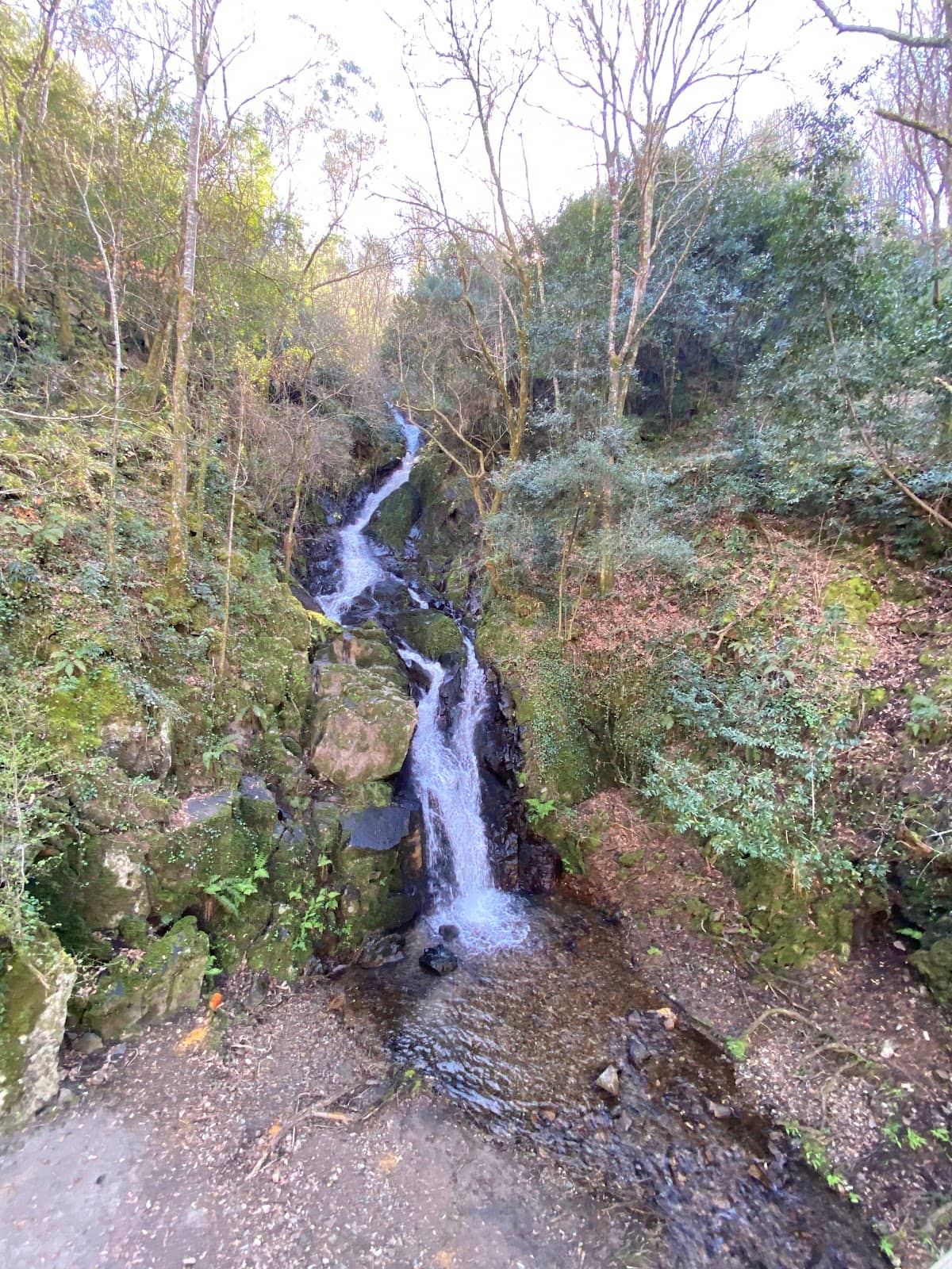 Paiva River Walkway Stop