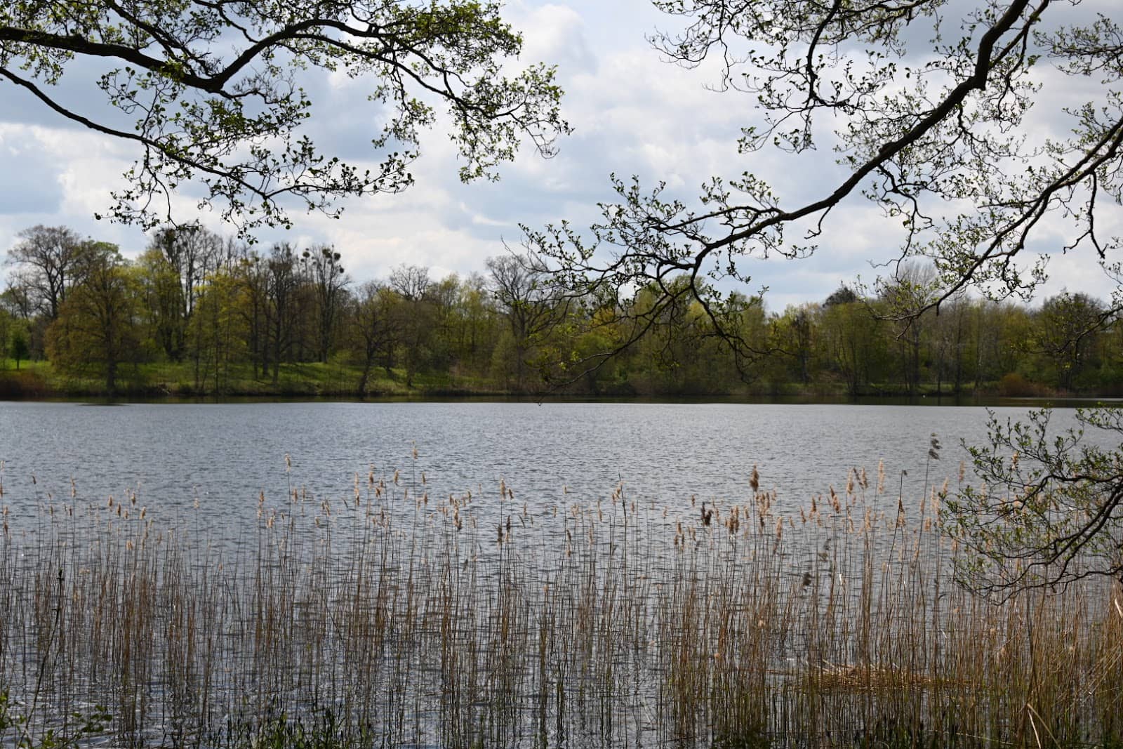 Canoeing & Rowing