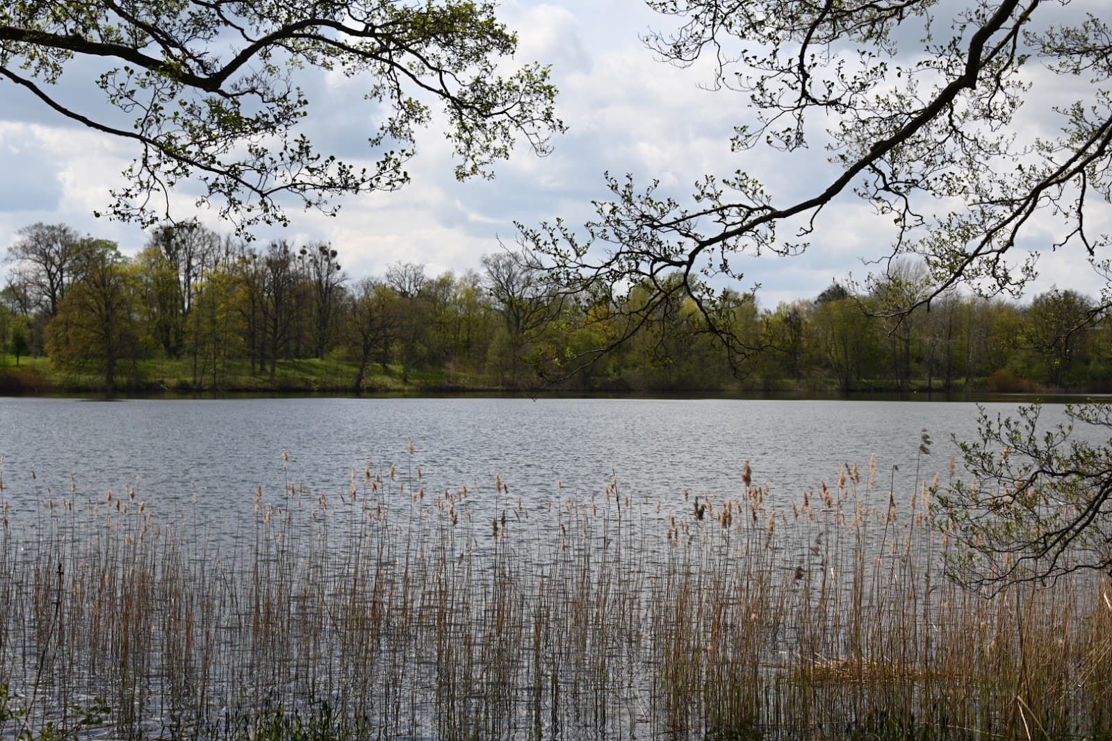 Fauler See - Image 1