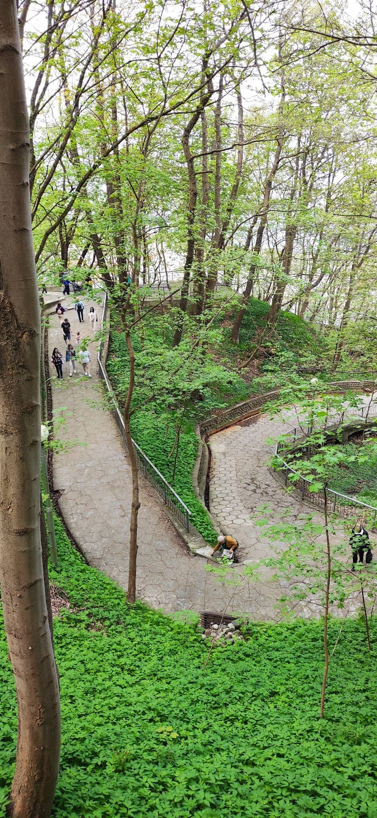 Vertical photo