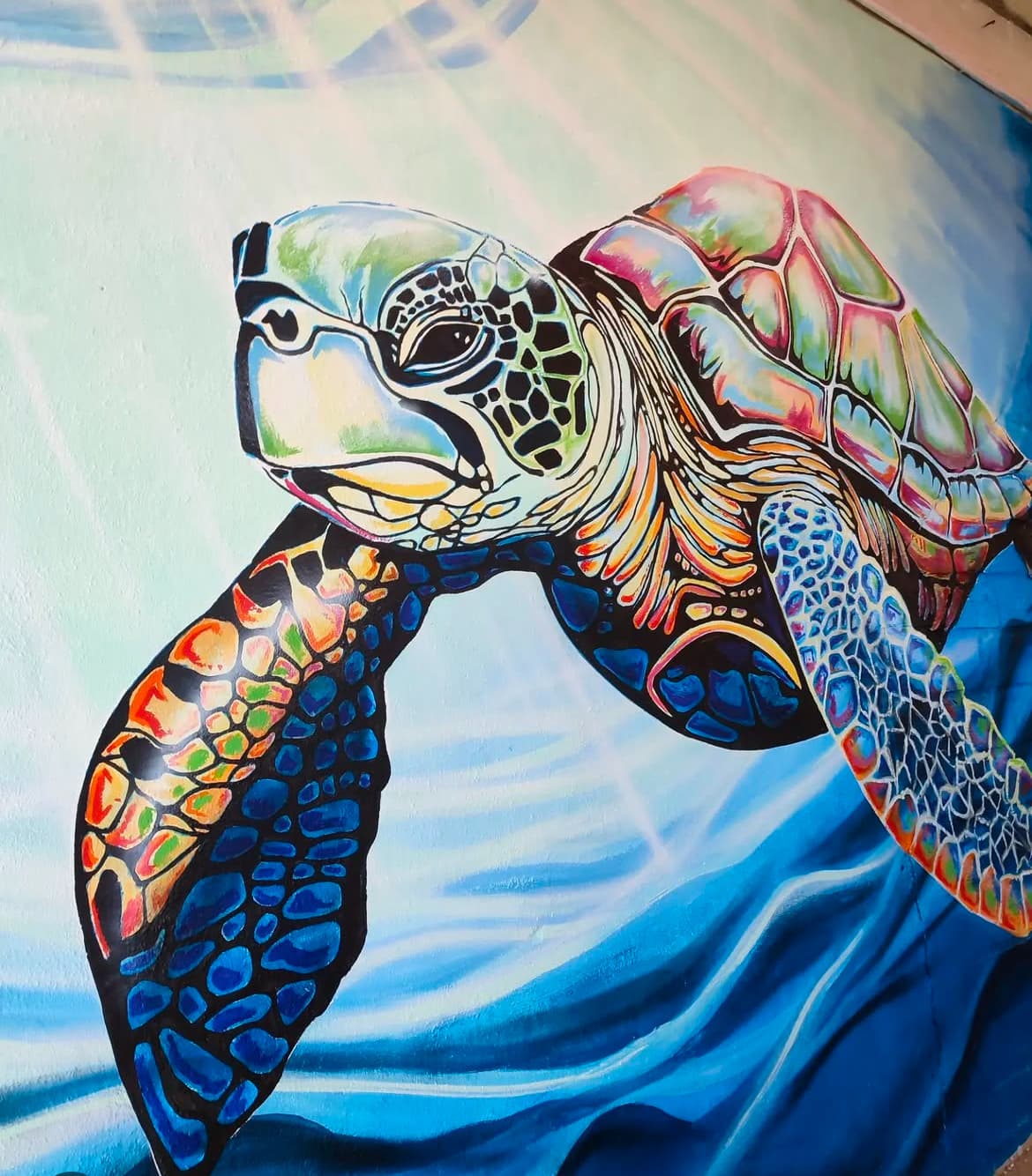 Sayulita Street Art Zone - Image 1