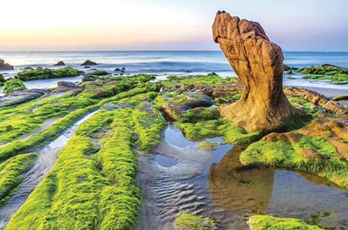 Co Thach Beach Stone Ground - Image 1