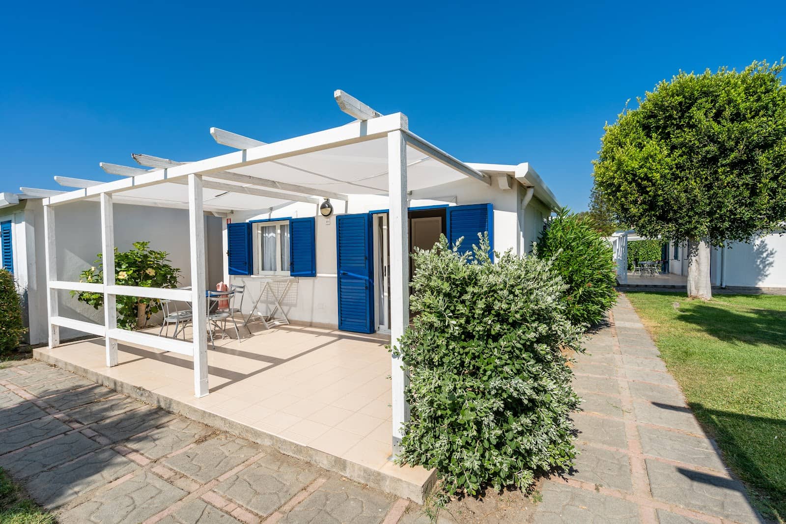 Fruit Village Animation