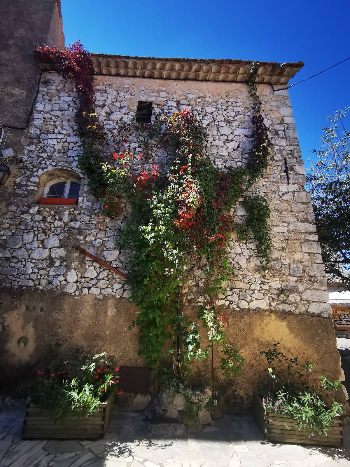 Vertical photo
