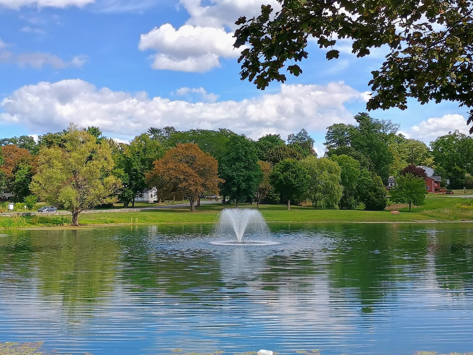 Steinmetz Park - Image 1