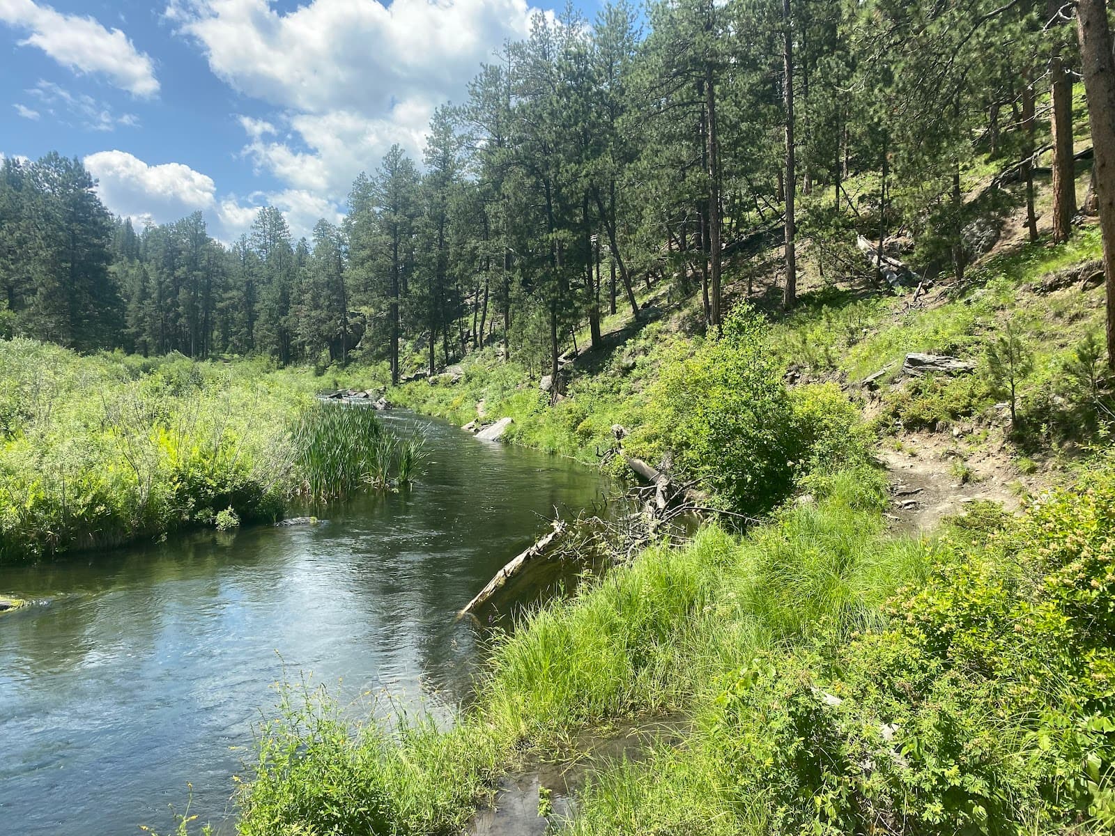 Rapid Creek Greenway - Image 1