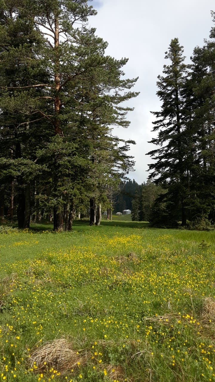 Sinekli Plateau (Sinekli Yaylası) - Image 1