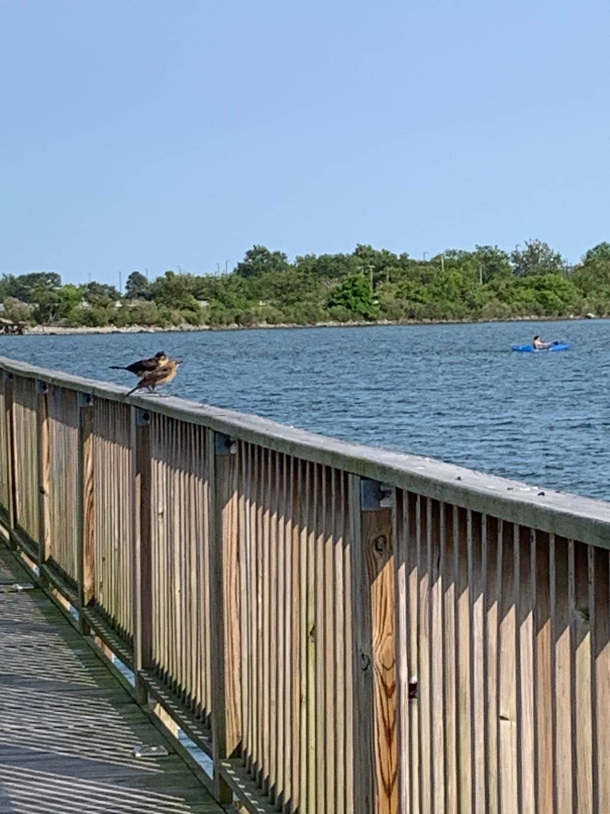 Local Eateries & Drinkeries