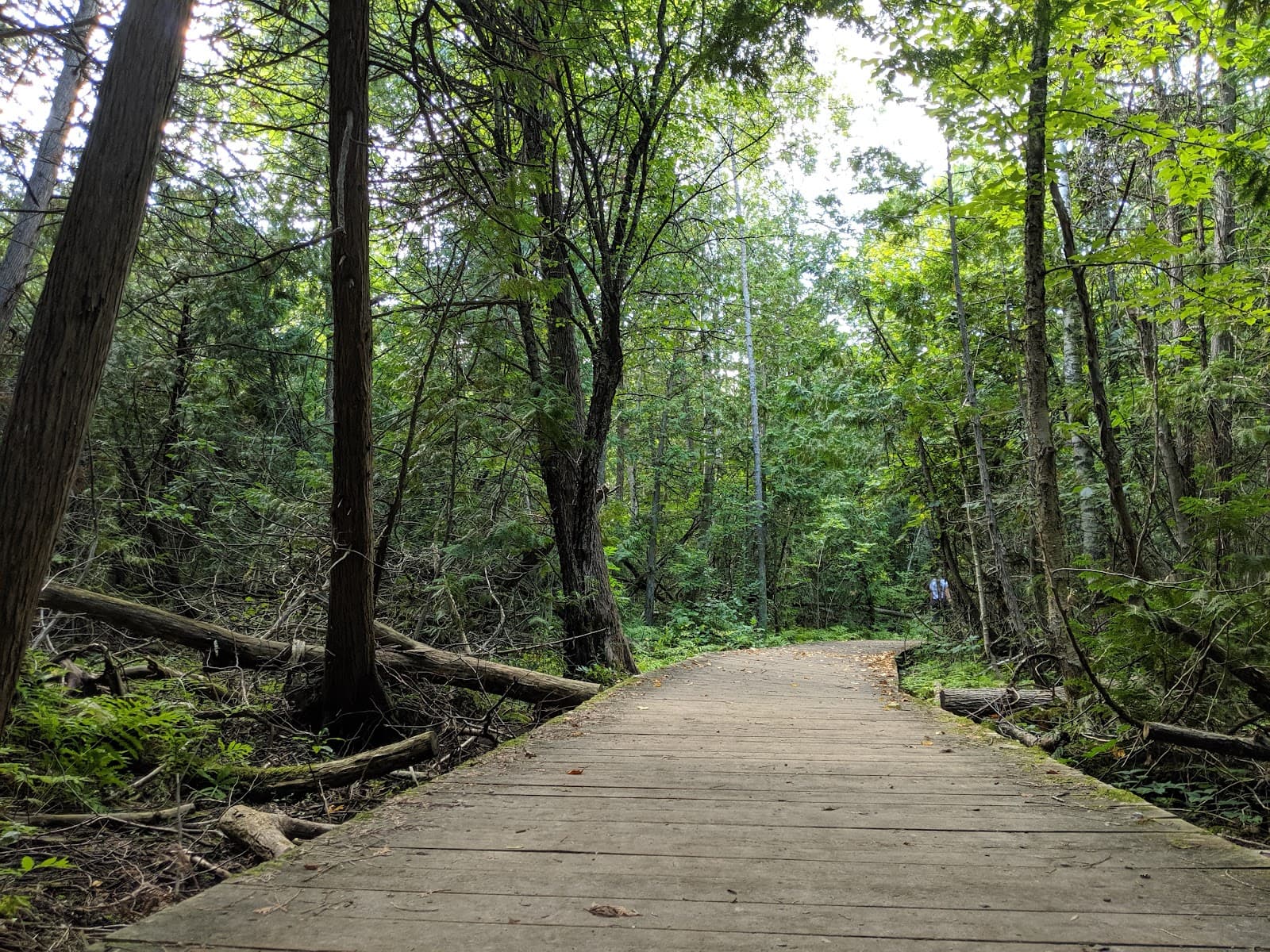 Trent University Nature Areas Peterborough - Image 1