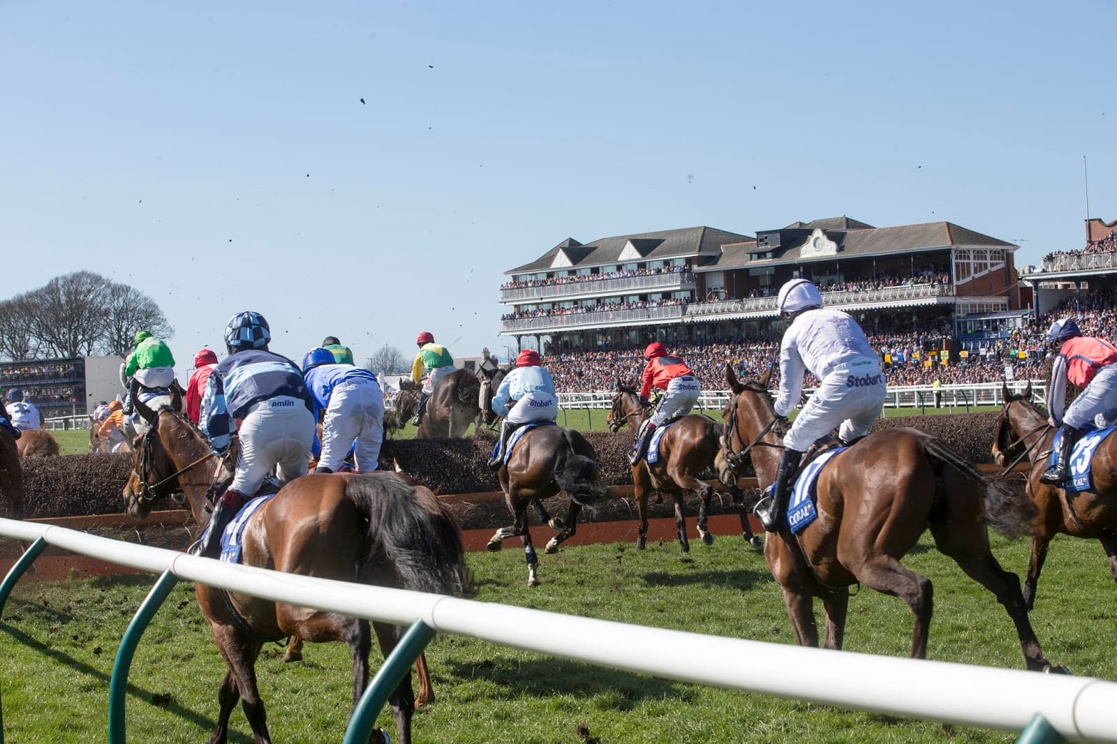 Ayr Racecourse - Image 1