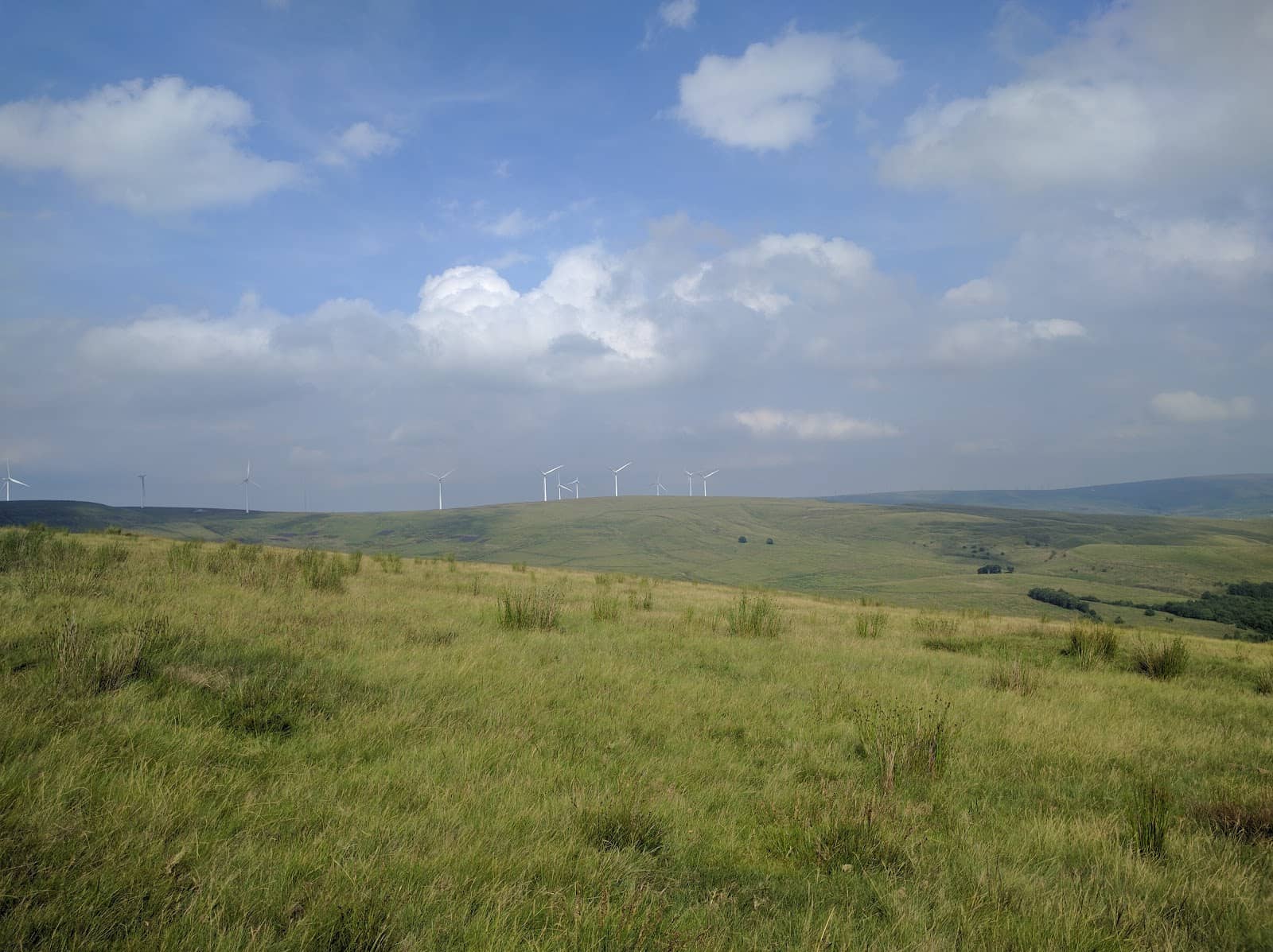 Windmill Landscape