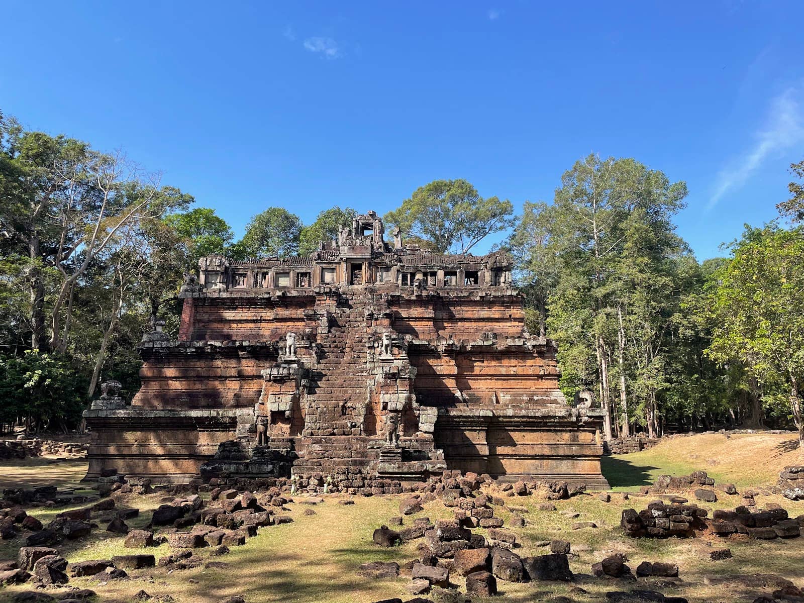 Peaceful Jungle Overlook