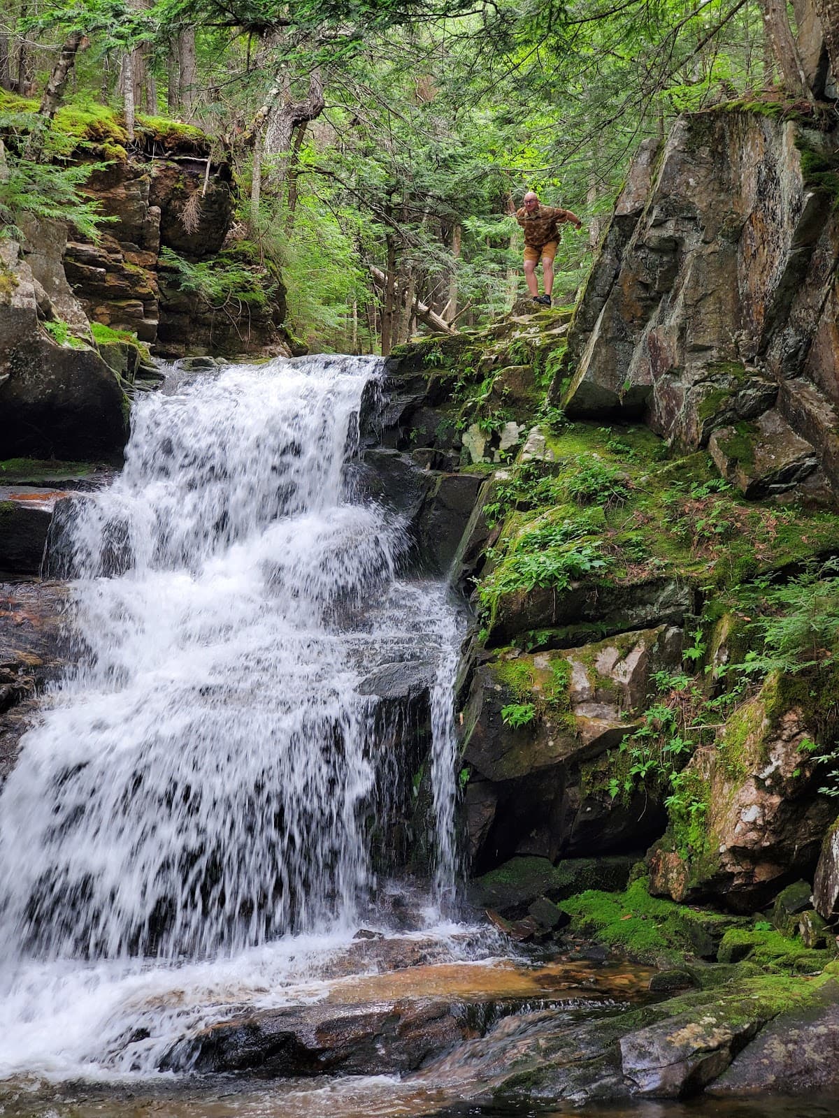 Cold Brook Falls - Image 1