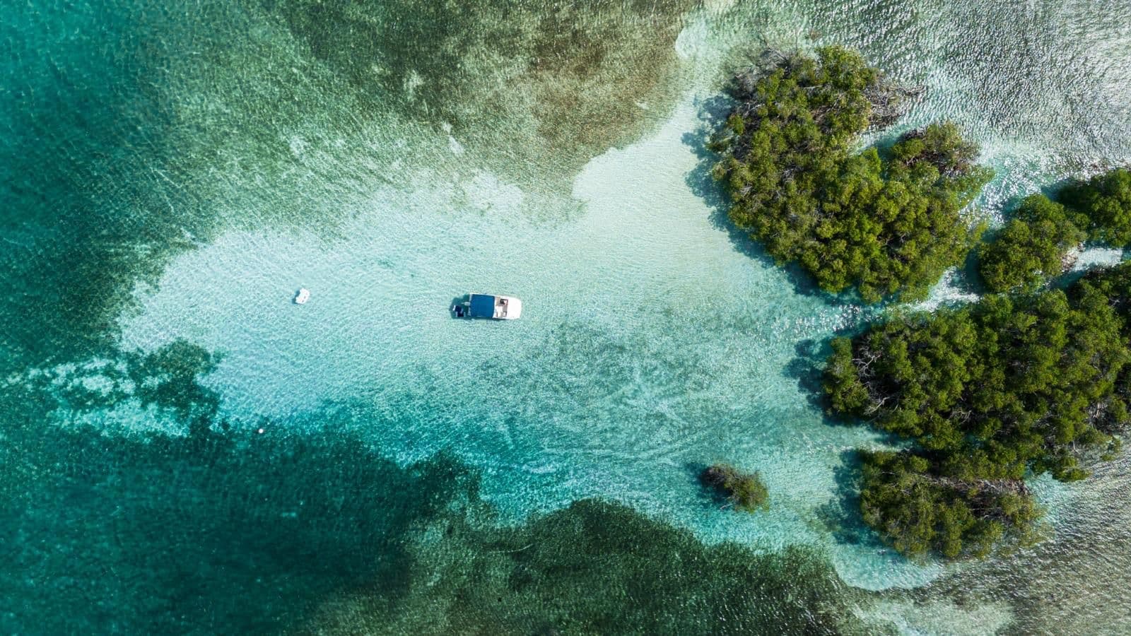 La Parguera Bioluminescent Bay - Image 1