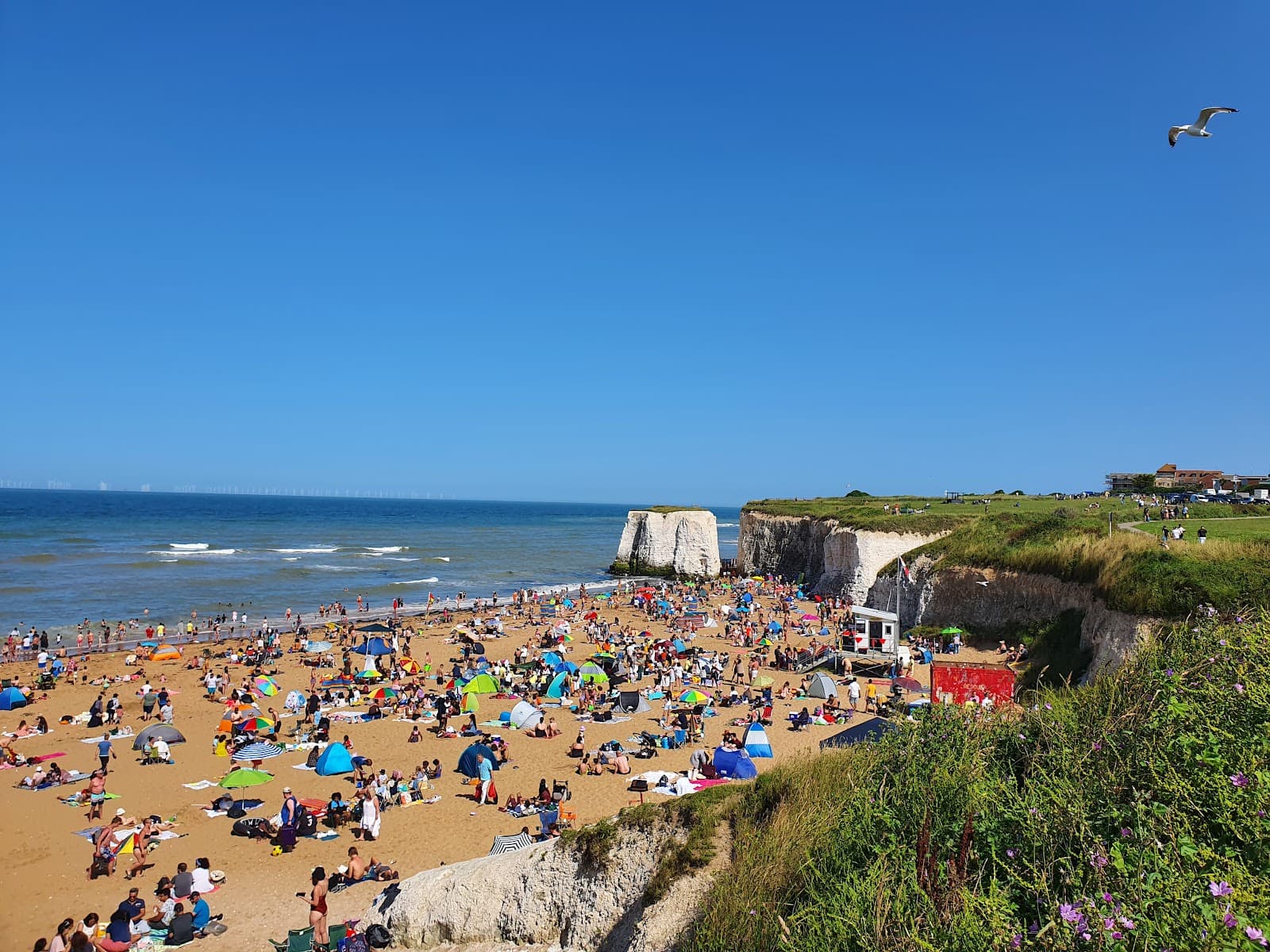 Botany Bay - Image 1
