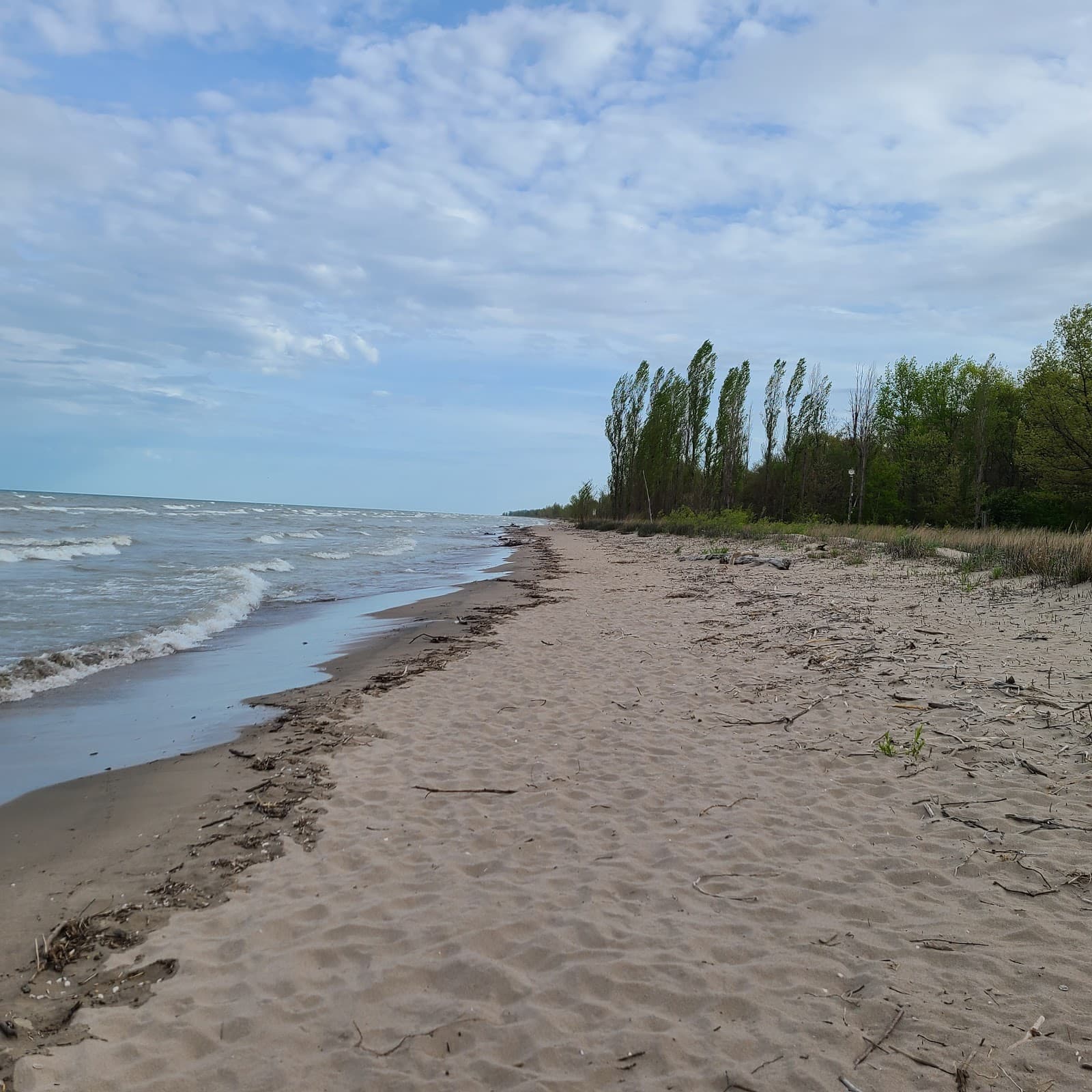 Rondeau Provincial Park - Image 1
