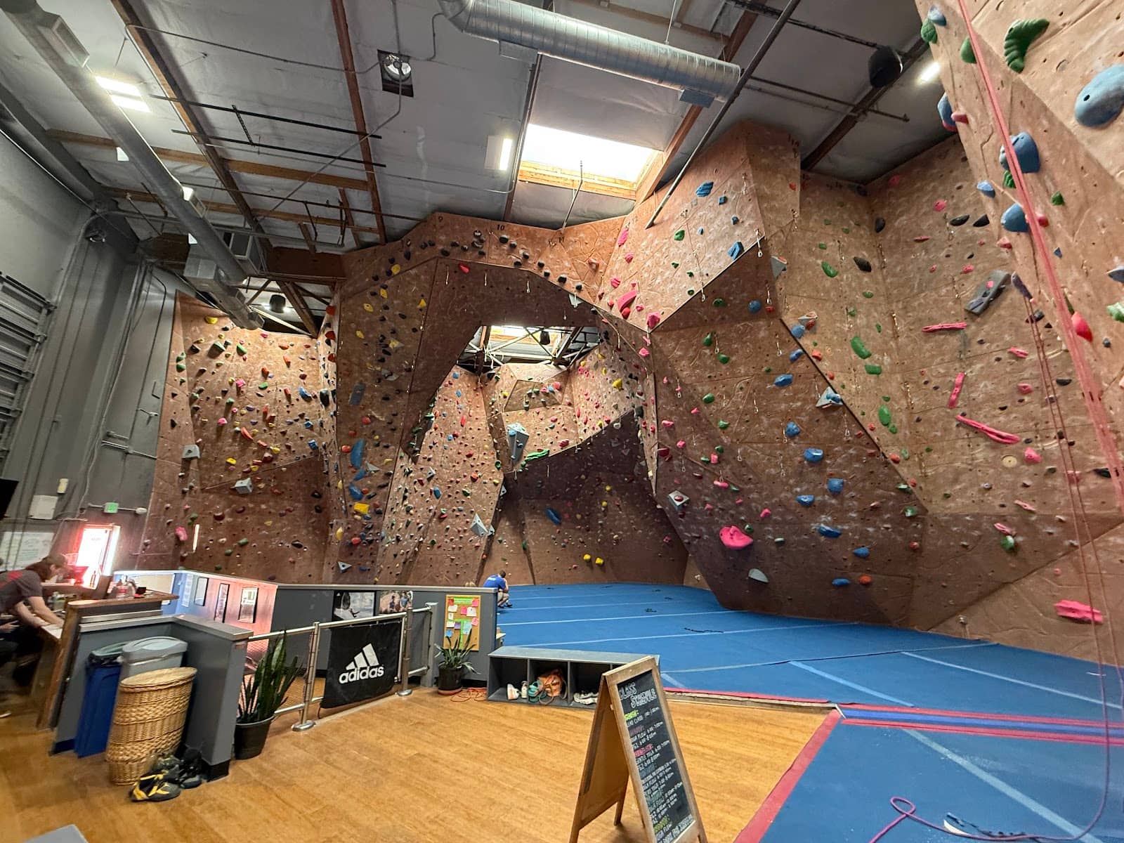 Kid-Friendly Summer Camp