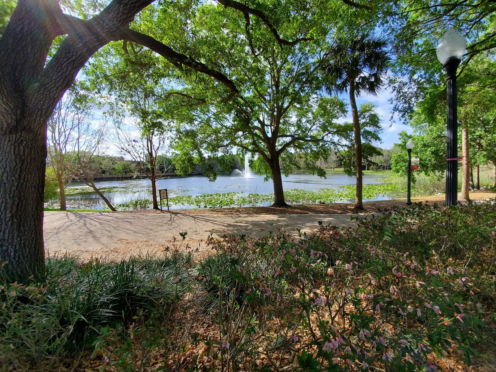 Lake Lily Park - Image 1