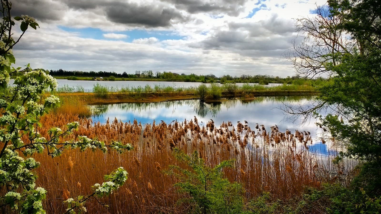 RSPB Ouse Fen - Image 1