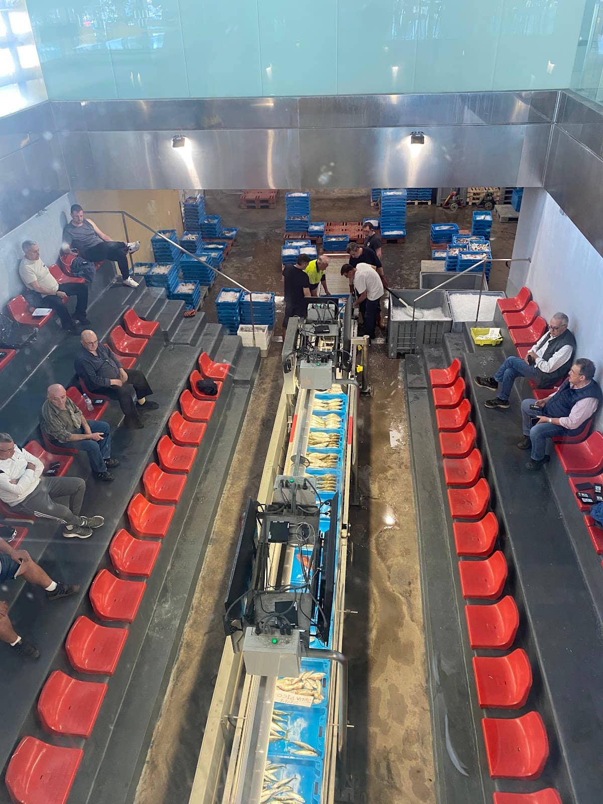 Local Fishing Port Atmosphere