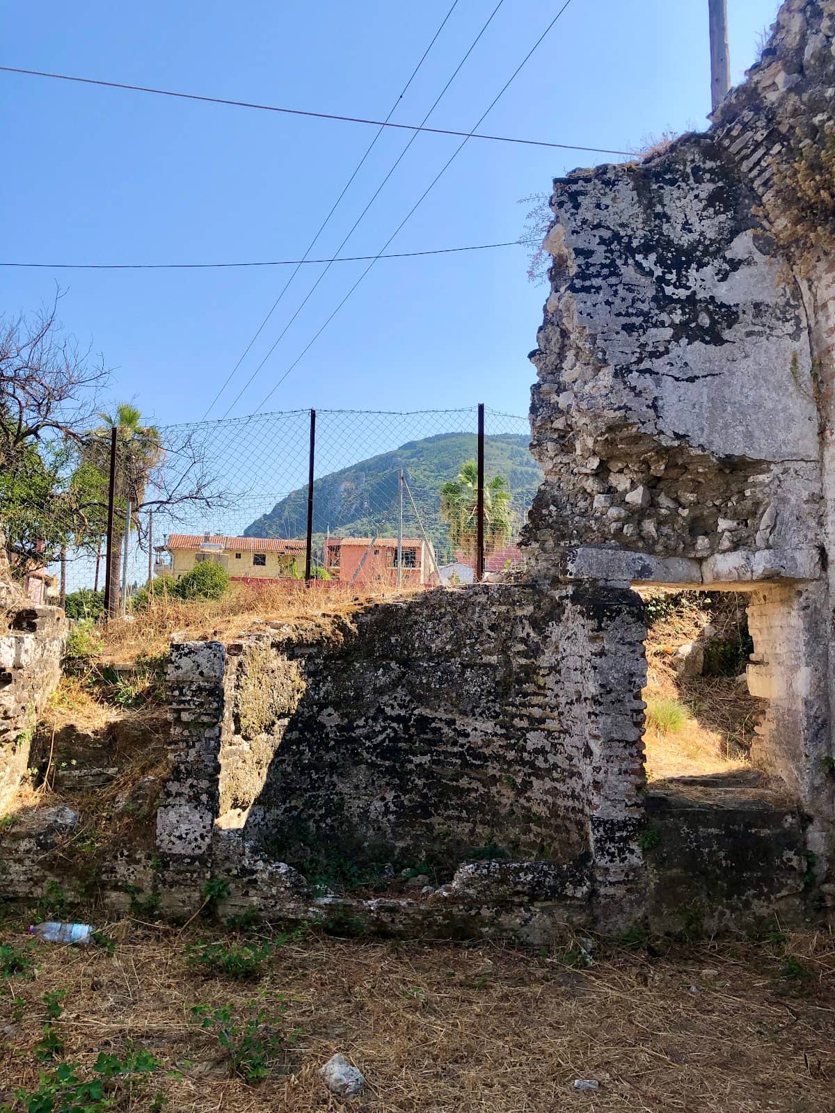Vertical photo