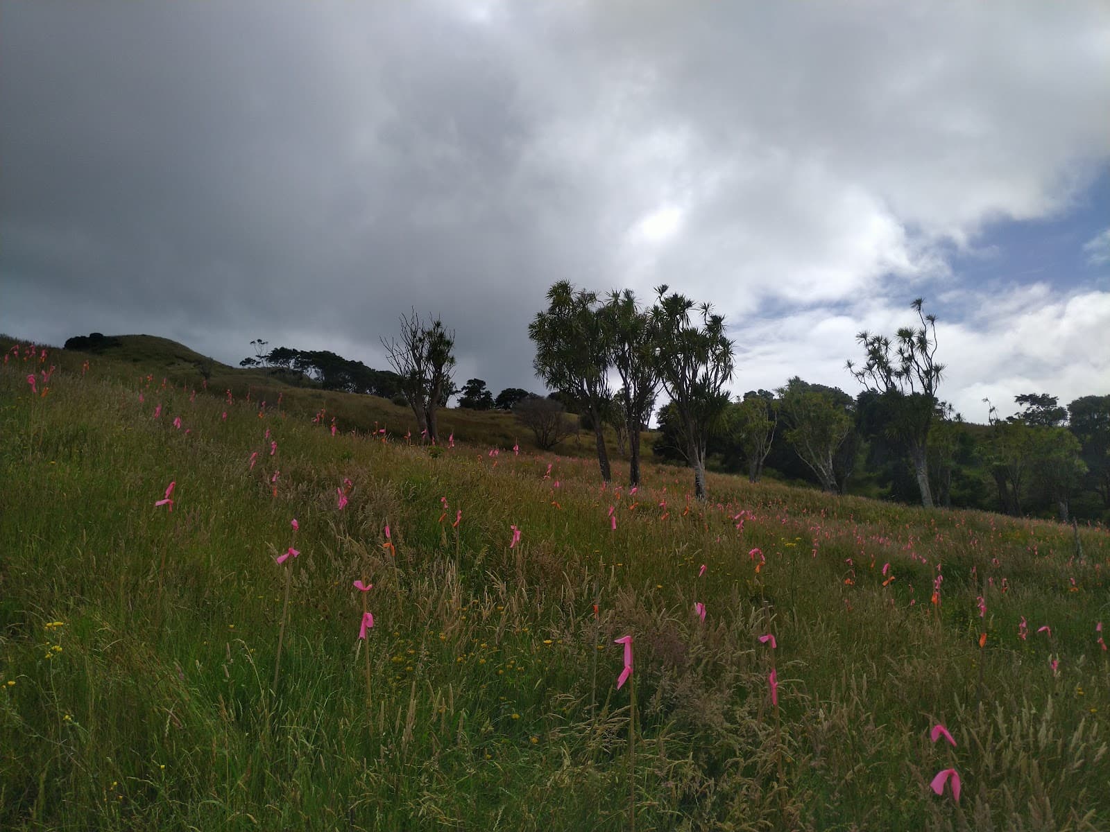 Cooks Cove Walkway - Image 1