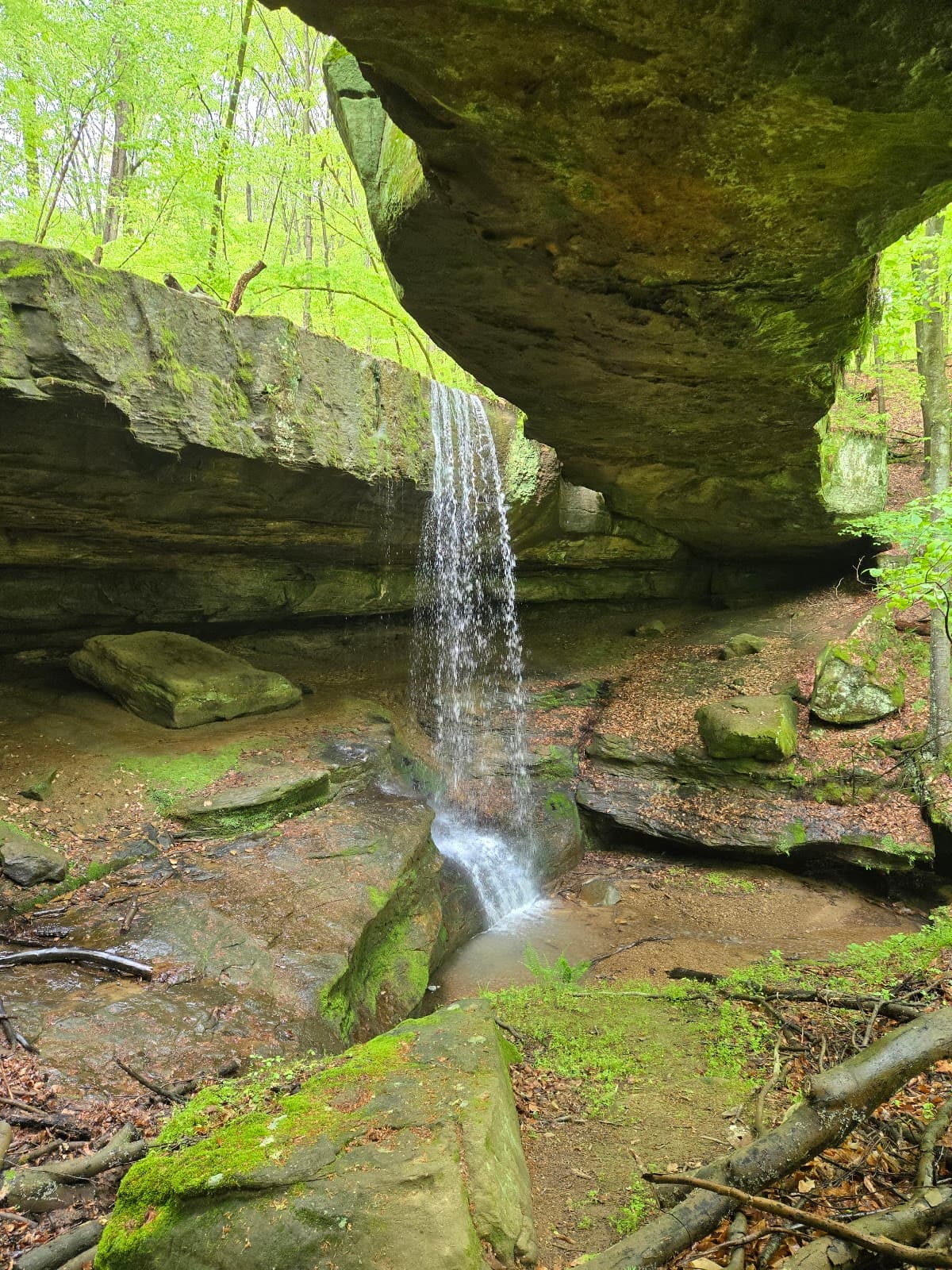 Rockbridge State Nature Preserve - Image 1