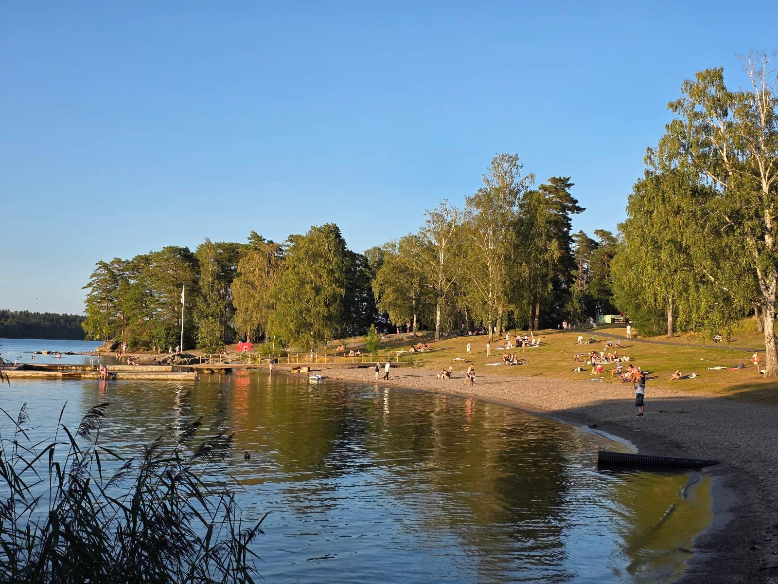 Lawn and Picnic Spots