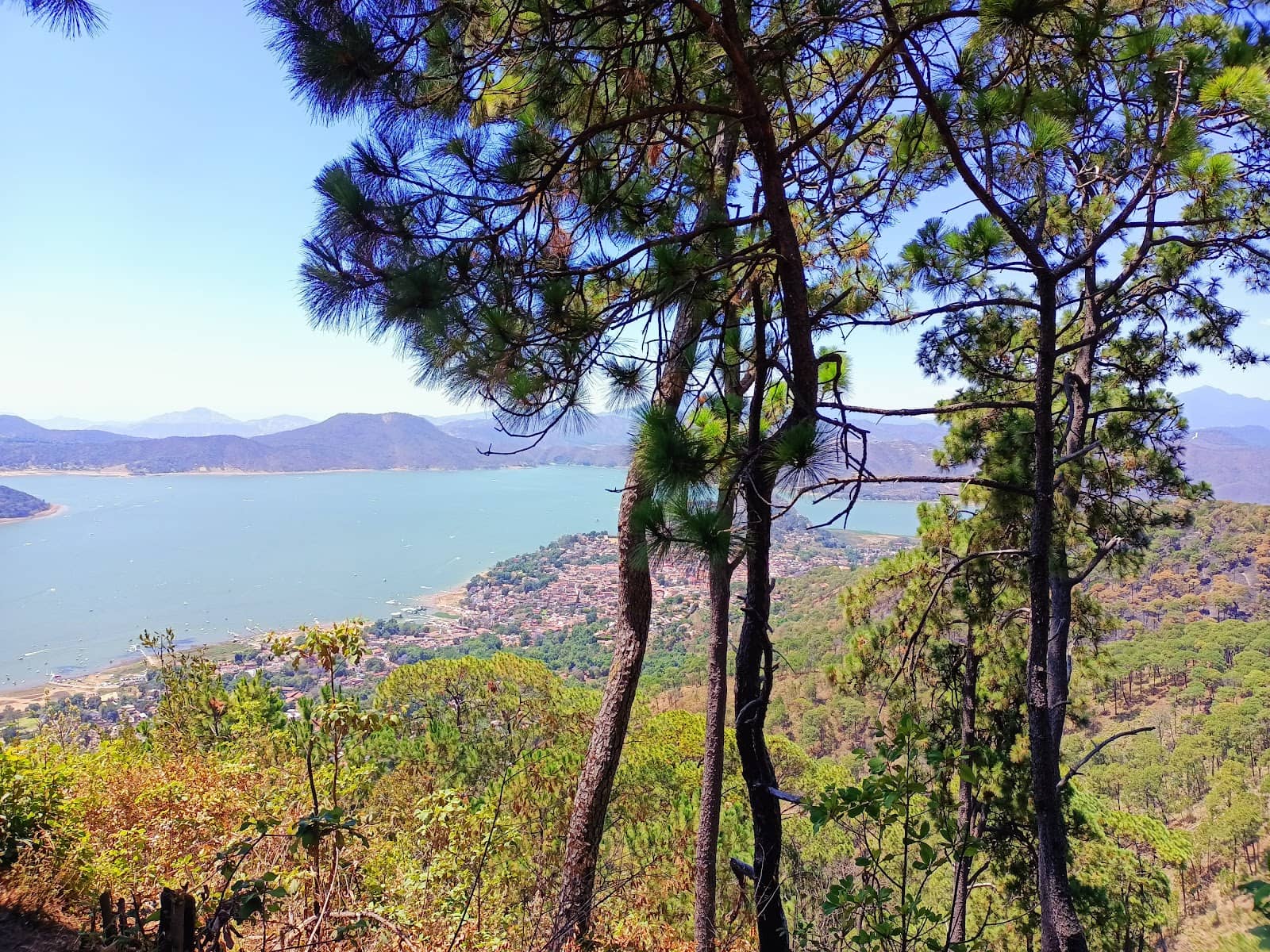 Vertical photo