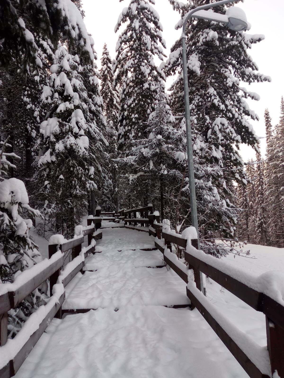 Samarovsky Chugas Nature Park - Image 1