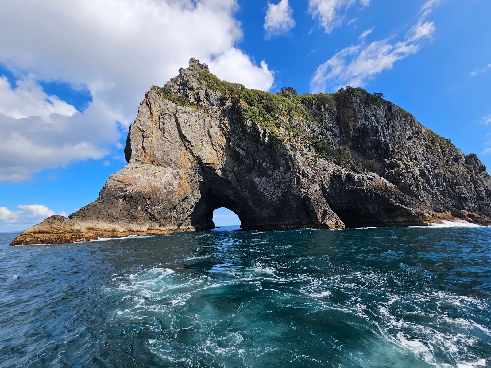 Bay of Islands Dolphin Cruises Paihia New Zealand - Image 1