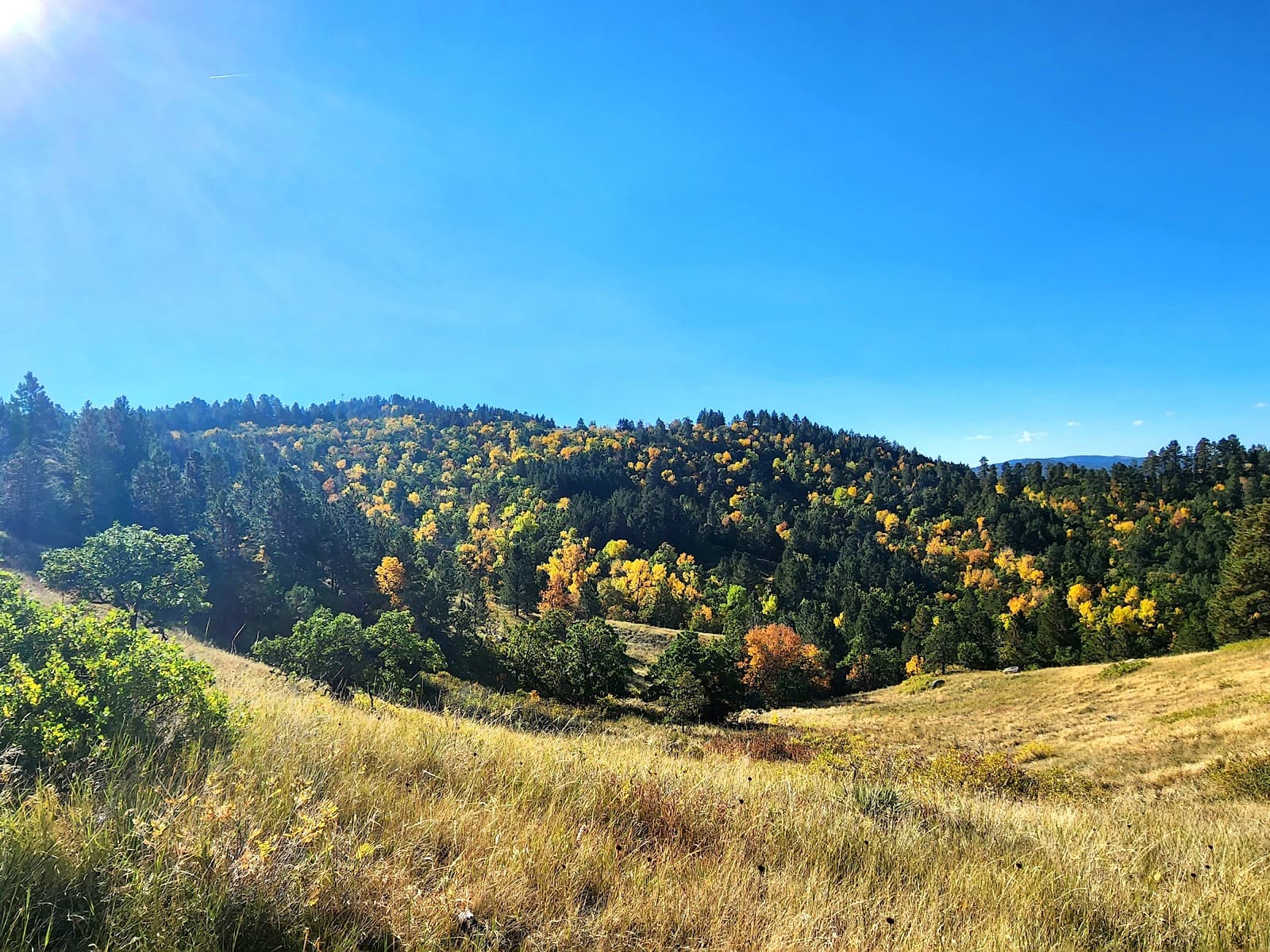 Lookout Mountain Park - Image 1