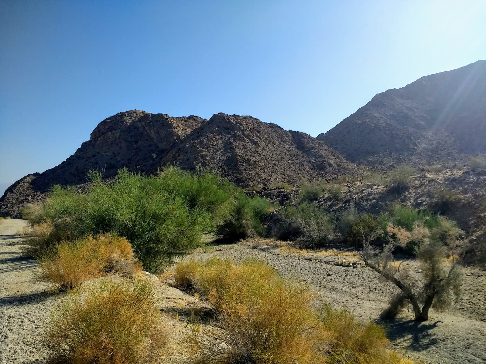 La Quinta Cove Trails - Image 1