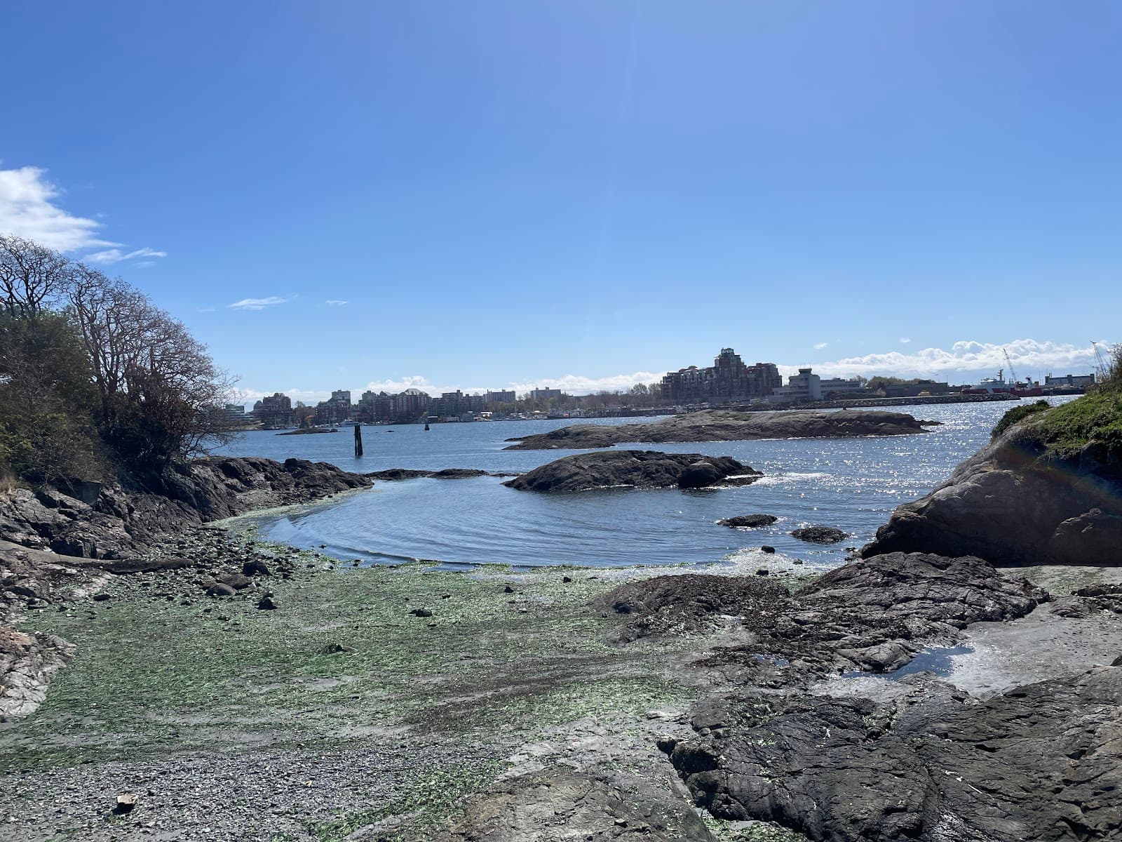 Westsong Walkway (Songhees Walkway) - Image 1